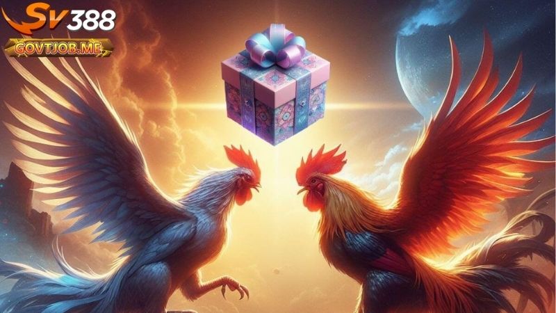 Đá gà tre Sv388 - Giải trí đỉnh cao cùng nhà cái hàng đầu 3 Đá gà tre Sv388